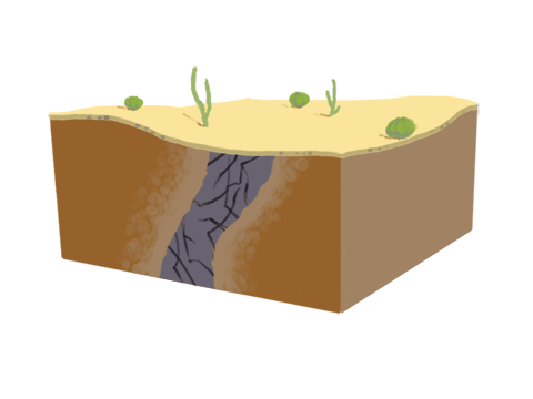 Placeholder Picture