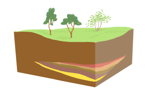 Placeholder Picture